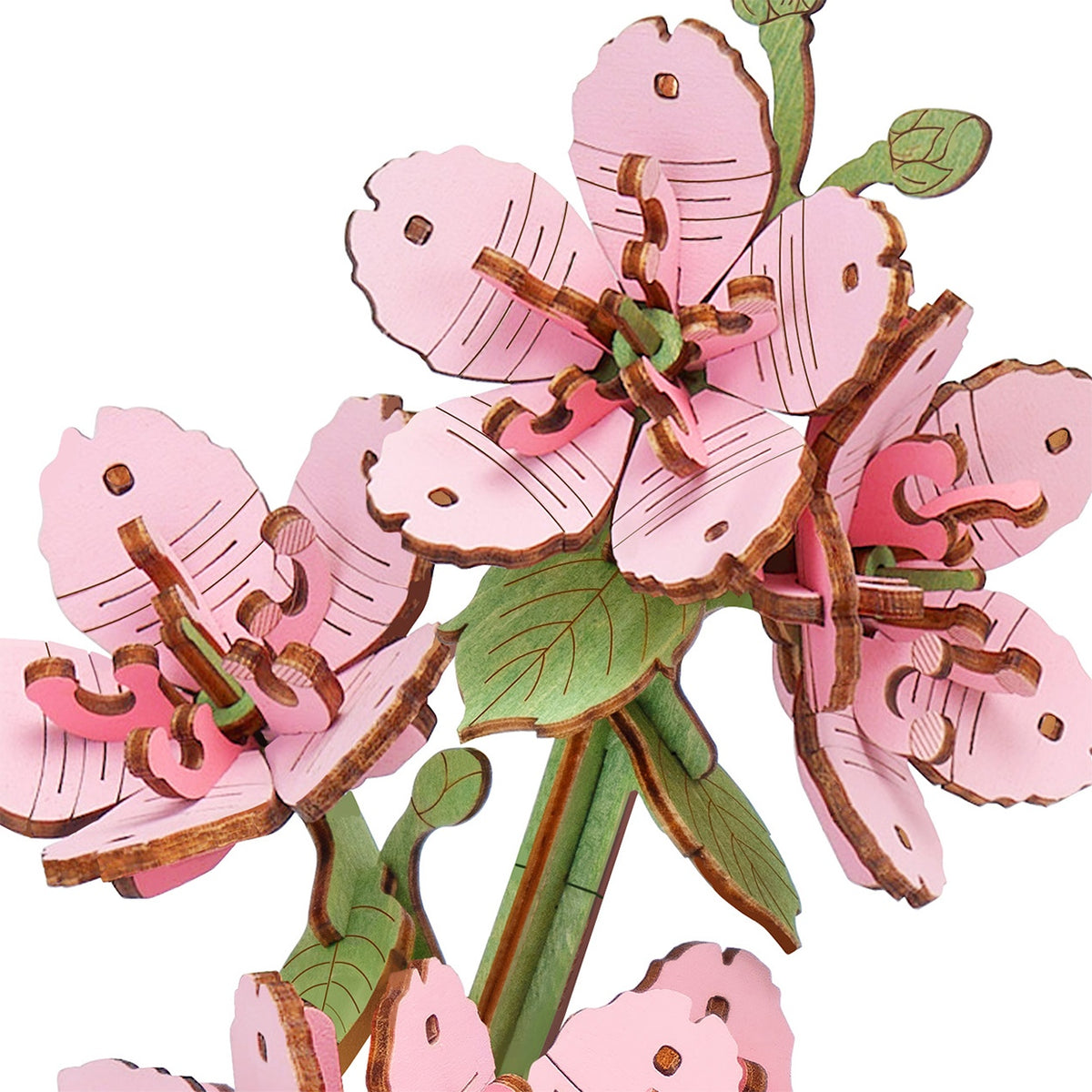 Close-up van drie bloemen in de Robotime Sakura