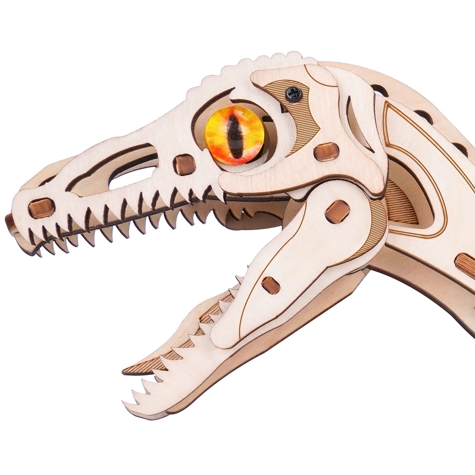 De kop van de Robotime Velociraptor