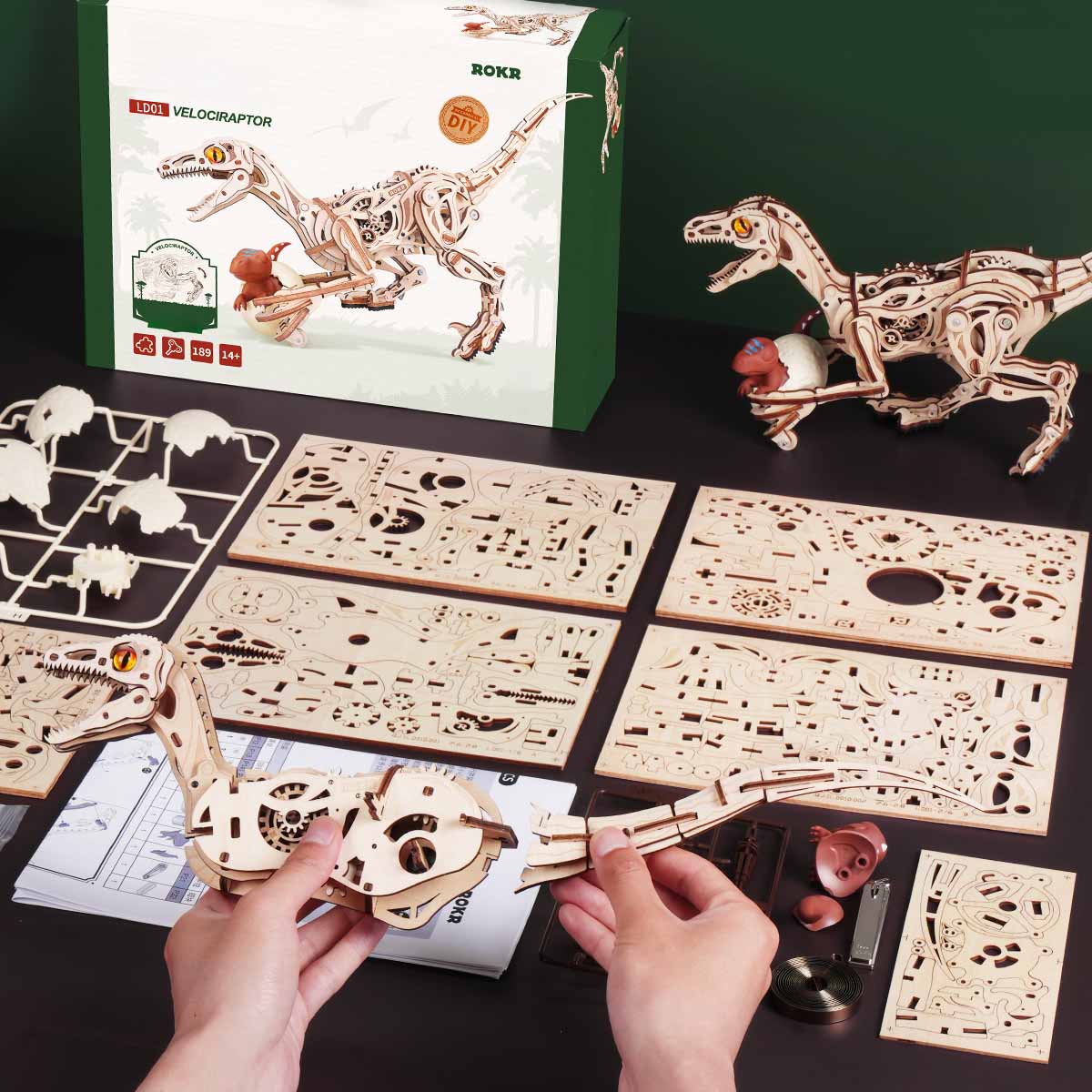 Een persoon is bezig de Robotime Velociraptor te bouwen